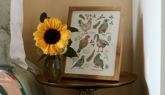 A Feathered Flock, Poster