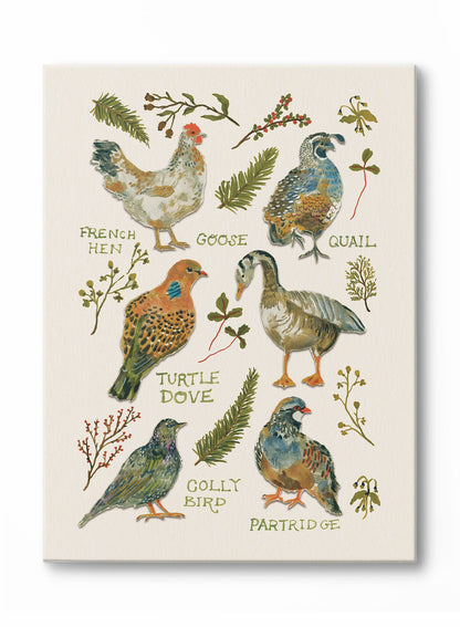 A Feathered Flock, Poster