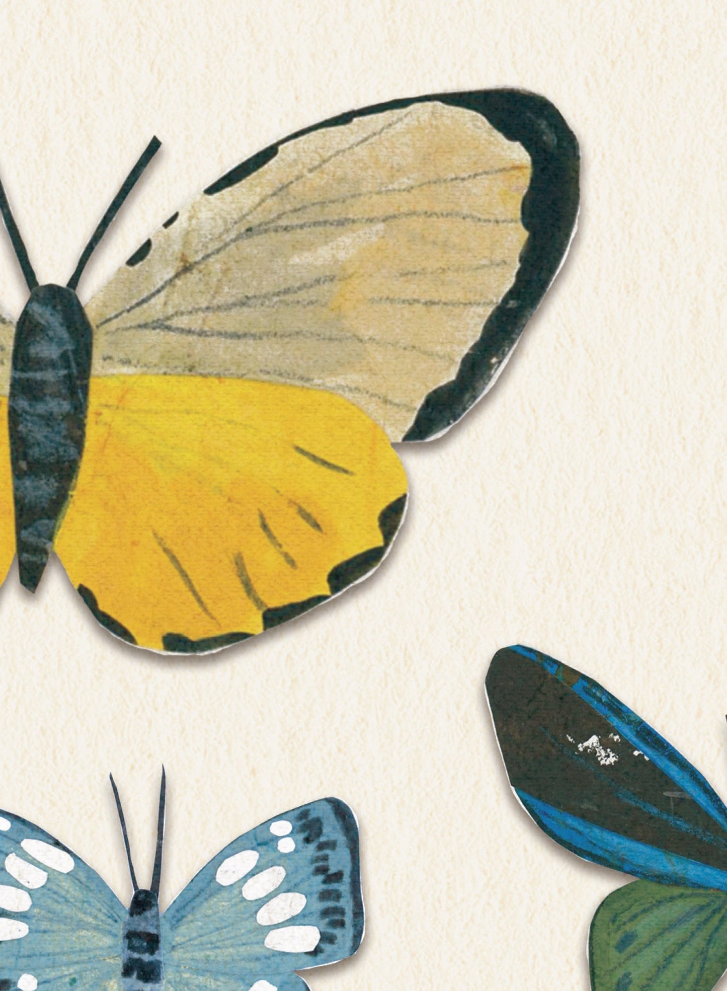 Little Butterfly Beauties, Poster