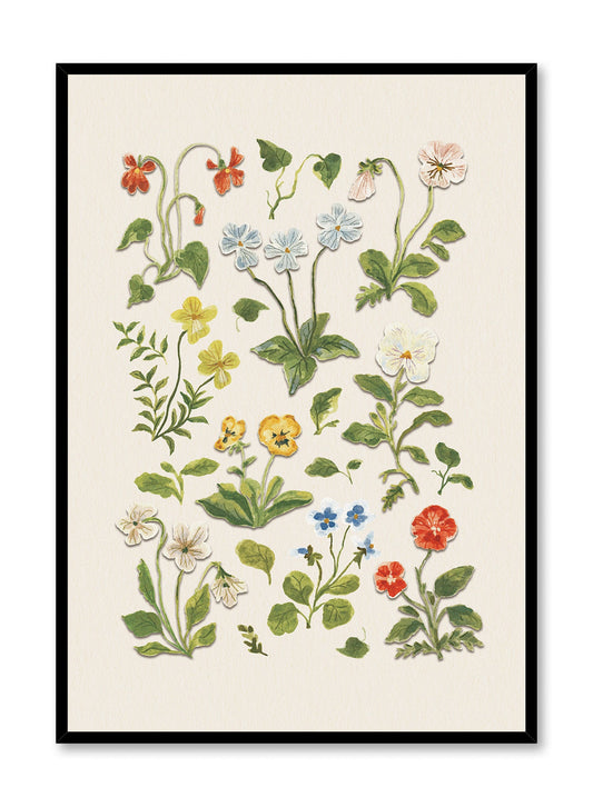 Pressed Flower Study, Poster