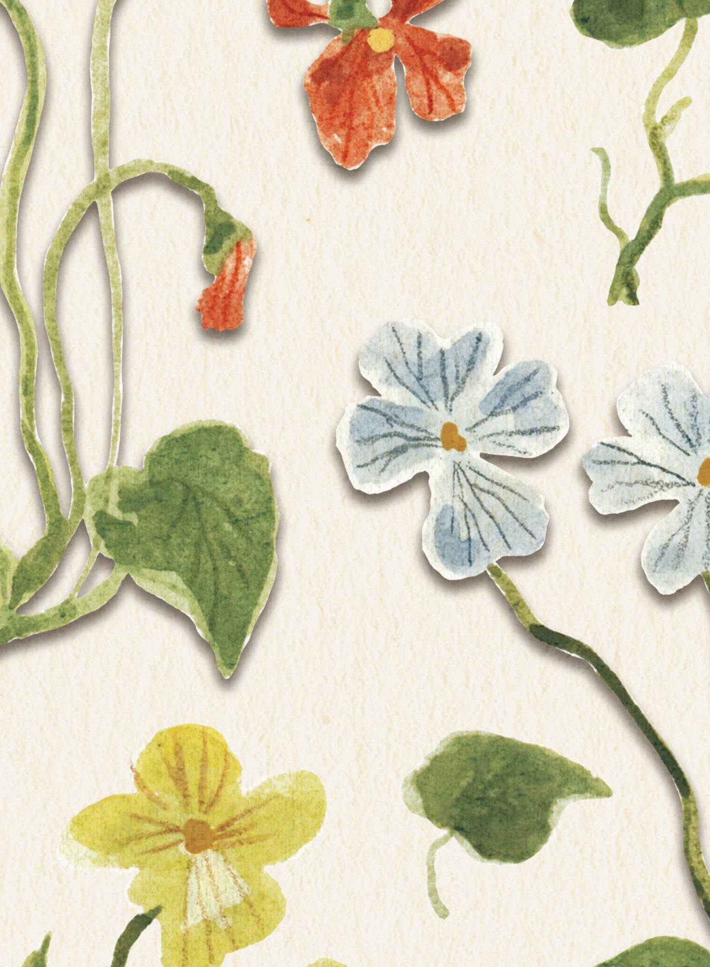 Pressed Flower Study, Poster