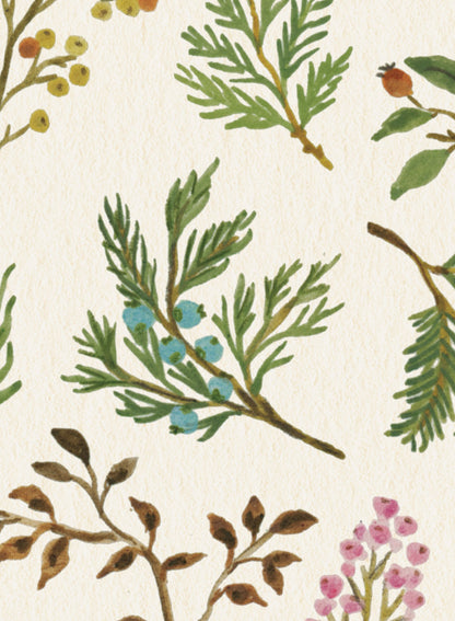 Pressed Botanical Study, Poster